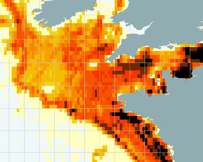 Fishing activity North Atlantic - Aggregated data 10'x10'